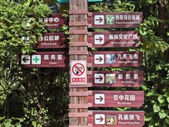 -西双版纳原始森林公园
