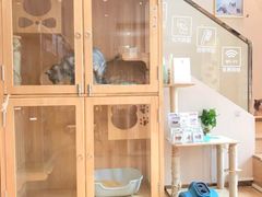 -Pets First伊珊娜洗护·精致美容·家庭式寄养(新会路店)