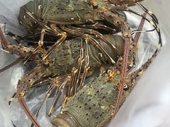 -农厨好味·温泉鹅·农家菜