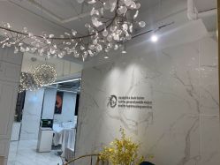 -潘多拉Hairsalon