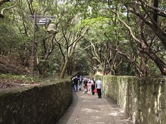 -普陀山慧济禅寺
