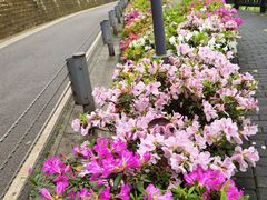 -重庆平顶山公园