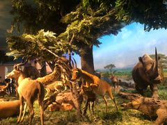 -国家自然博物馆