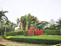 -万绿园
