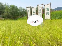 -北京凤凰岭