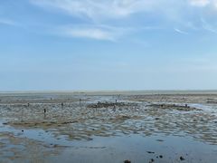 -北海金海湾红树林生态旅游区