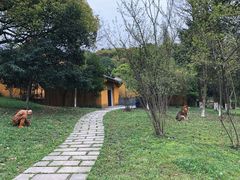 -绍兴东湖风景区