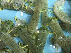 -渔民新村(番禺总店)