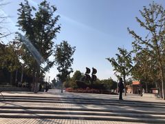 -大兴滨河森林公园