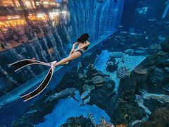 -成都浩海立方海洋公园