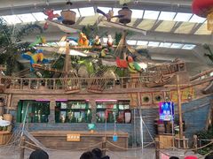 -南宫五洲植物乐园