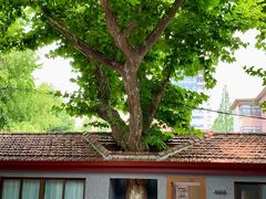 -上海孙中山故居纪念馆