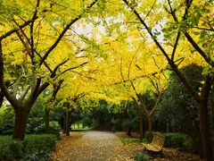 -上海共青森林公园