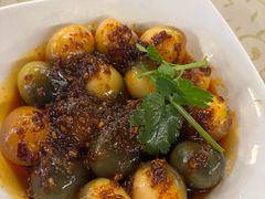 -百利鸽王(紫薇路店)