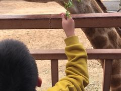 -鄂尔多斯野生动物园