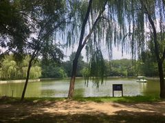 -廊坊市自然公园