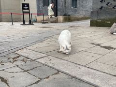 -张学良旧居陈列馆