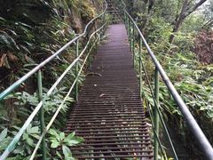 -安吉龙王山峡谷漂流
