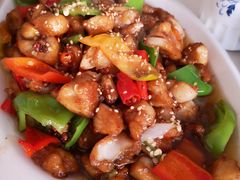 -煲来饱去冷水鱼