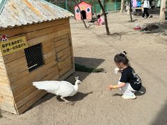 -水上乐园·欢乐世界