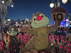 -IL paperino帕帕里诺冰激凌