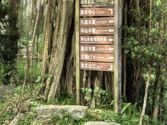 -广东天露山旅游度假区