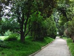 android_upload_pic-上海兴国宾馆丽笙精选