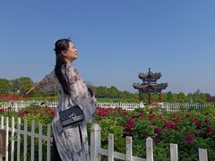 -曹州牡丹园