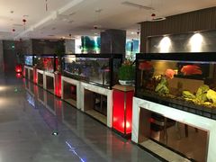 -水立方国际汤泉(六一中路店)