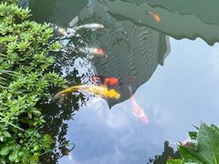 -上海虹桥宾馆味翠餐厅