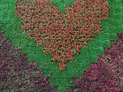 android_upload_pic-北国之春国宴(乌兰察布店)