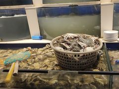 -海天盛宴新派海鲜自助餐厅(群力店)