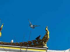 -洛阳白马寺