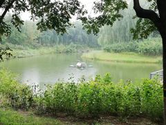 -大兴滨河森林公园