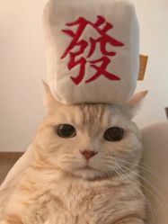 -泫舞舞蹈工作室