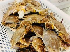 -海岸风情蒸汽海鲜自助餐厅(家宴金手勺店)