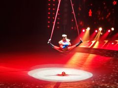 -珠海横琴长隆《卡卡虎奇遇记》