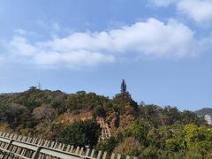 -福道