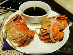 -龙之梦万丽酒店青餐厅