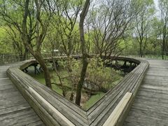 -西湖风景区-江洋畈生态公园