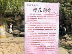 -西安青龙寺遗址景区