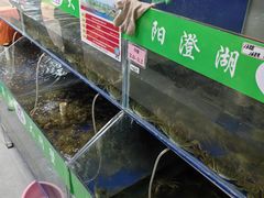 -阳澄湖大闸蟹·琼灵阁牌品牌连锁(吴中总店)