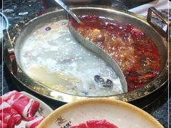 -蜀大侠火锅(森兰花园城店)