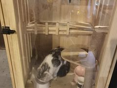 -Mr.Fox狐狸先生超级密室(南山店)