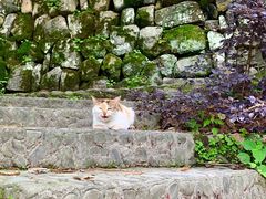 -塔川景区
