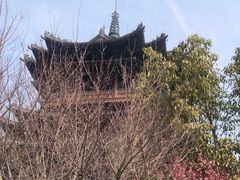 -杭州半山国家森林公园