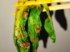 -乡党臊子面(丰庆公园店)