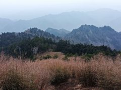 -朱雀国家森林公园