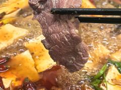 -金鼎雪山牦牛杂火锅(理县总店)