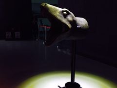 -兴隆文化园景区